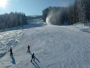 Abfahrt an der Einhornbahn II