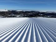 Frisch präparierte Piste in Tandådalen