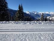 Panoramaloipe am Kristberg