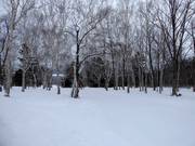 Ganz leichte Waldabfahrten an der Vierersesselbahn High Speed Lift 1