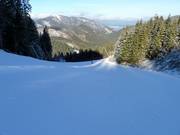 Piste Nr. 11 nach Záhradky