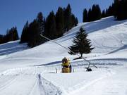 Leistungsfähige Schneekanone und Schneilanze