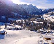 IFA Alpenhof Wildental