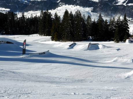 Snowparks Appenzeller Alpen – Snowpark Wildhaus – Gamserrugg (Toggenburg)