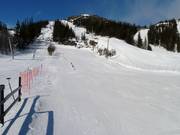 Übungspiste am Tellerlift Lilleputt