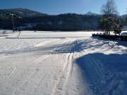 Loipe zwischen Radstadt und Altenmarkt