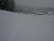 Frischer Neuschnee in Beuerberg