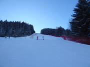 Piste Olympique Willy Favre (Les Diablerets)