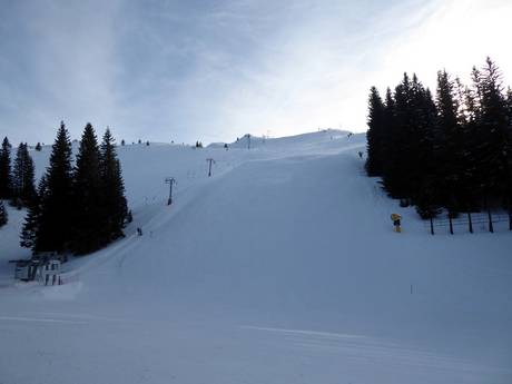 Skigebiete für Könner und Freeriding Republika Srpska – Könner, Freerider Jahorina