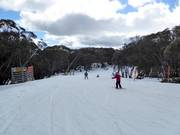 Leichte Piste Wombats Ramble