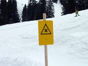 Kreuzungen werden markiert