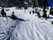 Buckelpiste am Sotsalong