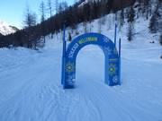 Schlicker Wellenbahn