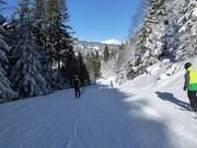 Talabfahrt nach Schruns
