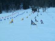 Permanenter Slalom und Riesentorlauf
