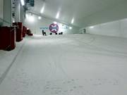 Anfängerpiste am Seillift und den zwei Förderbändern