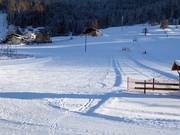 Leichte Piste am Babylift