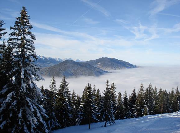 Blick vom Hörnle auf die Ammergauer Alpen