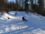 Tipp für die Kleinen  - Rodelbahn Nebelhorn