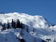 Herrliche Tiefschneepisten am Lawinenstein