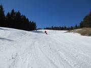 Schwünge auf breiten Pisten