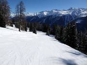 Leichte Piste am Fleschenlift