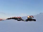 Die Pistenraupen bei der Arbeit