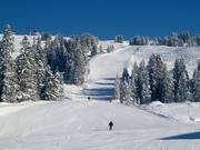 Abfahrt Torlaufstrecke