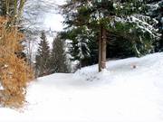 Umfahrung Steilhang (Piste 9a)