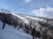 Blick zum Heavenly Canyon