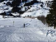 Zachhof Babylift - Schlepplift mit T-Bügel/Anker