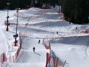 Tipp für die Kleinen  - Funcross Bergeralm