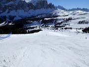 Schwere Piste Paprika