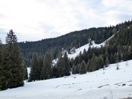 Malo Polje – Igman