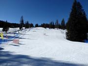 Leichte Piste Armentarola