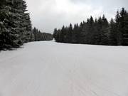 Flache Verbindungsabfahrt zwischen Stübenwasenlift und Kapellenlift