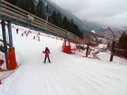 Die leichte Piste trifft auf die mittelschwere Piste