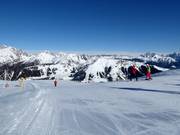 Leichte Piste Nr. 6 Paradiso