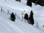 Waldschutzgebiete dürfen nicht befahren werden