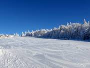 Leichte und breite Piste am Almwiesenlift