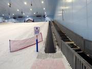 Ski Egypt 4 - Förderband/Zauberteppich