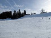 Leichte Pisten bis zur Talstation am Skilift Weitnau