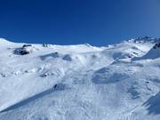 Freeridegelände am Mt. Hutt