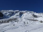 Tiefschnee-Areal am Thaneller