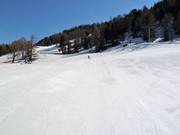 Anfängergebiet an den Härderaliften an der Hannigalp