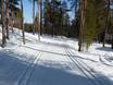 Langlauf Finnland – Langlauf Pyhä