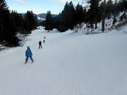 Leichte Donauwellenabfahrt