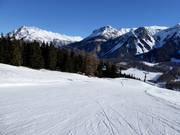 Talabfahrt Haideralm