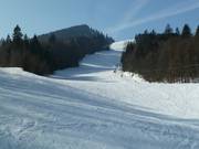 Piste am Wildalmlift