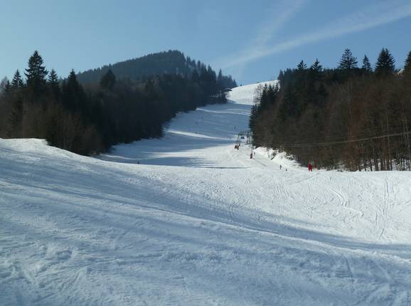 Piste am Wildalmlift